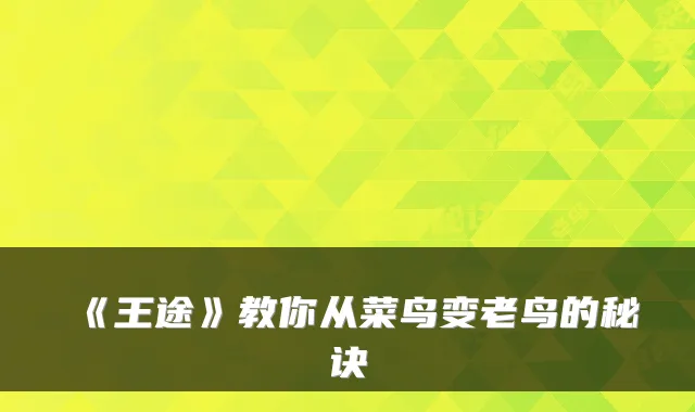 《王途》教你从菜鸟变老鸟的秘诀