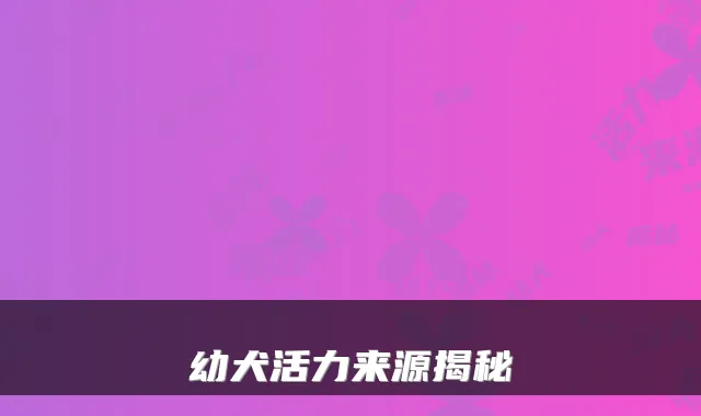 幼犬活力来源揭秘