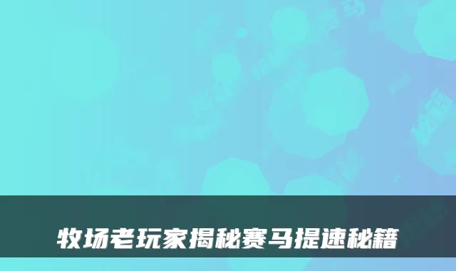 牧场老玩家揭秘赛马提速秘籍