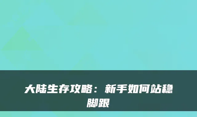 大陆生存攻略：新手如何站稳脚跟