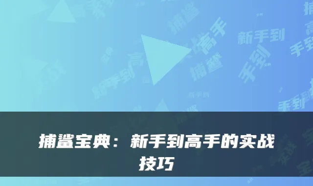 捕鲨宝典：新手到高手的实战技巧
