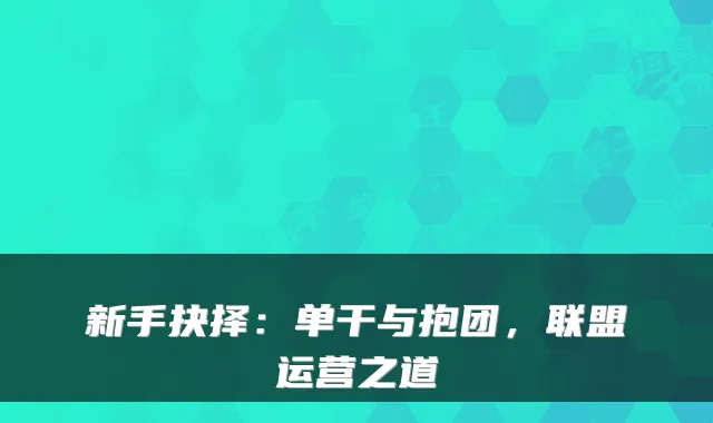新手抉择：单干与抱团，联盟运营之道