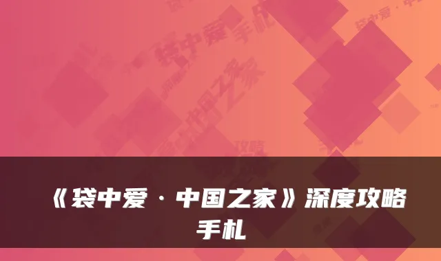 《袋中爱·中国之家》深度攻略手札