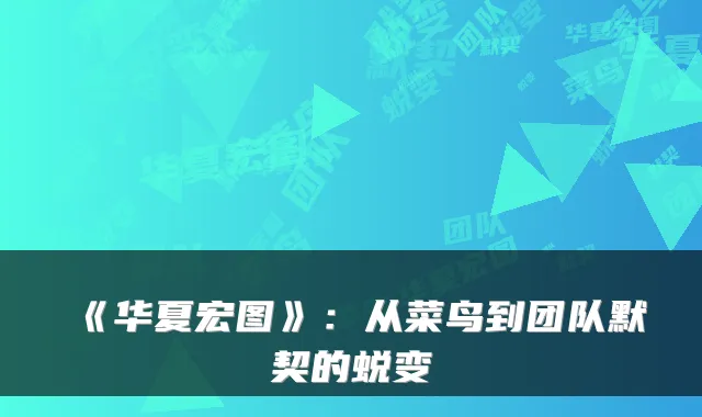 《华夏宏图》:从菜鸟到团队默契的蜕变