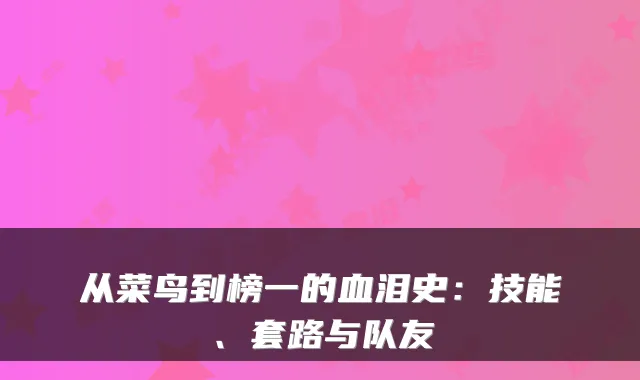 从菜鸟到榜一的血泪史：技能、套路与队友