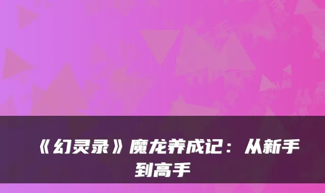 《幻灵录》魔龙养成记:从新手到高手