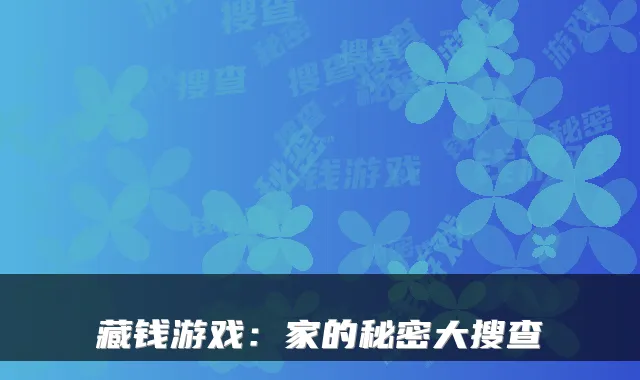 藏钱游戏:家的秘密大搜查