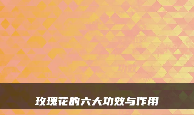 玫瑰花的六大功效与作用