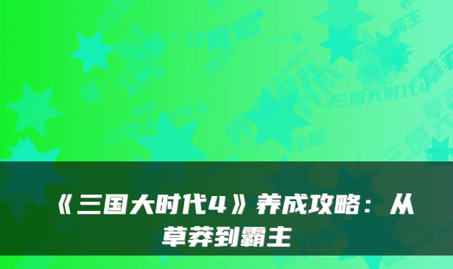 《三国大时代4》养成攻略：从草莽到霸主