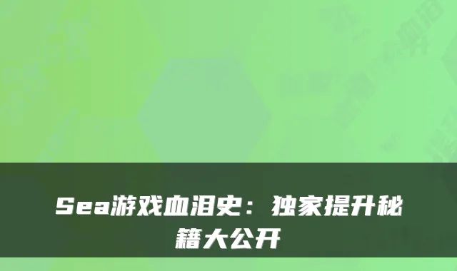 Sea游戏血泪史:独家提升秘籍大公开