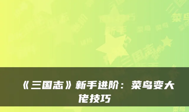 《三国志》新手进阶：菜鸟变大佬技巧
