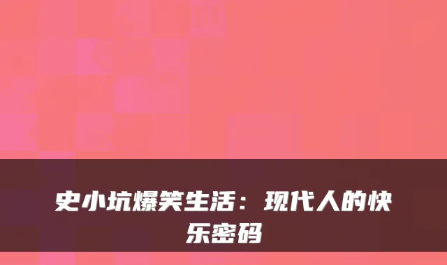 史小坑爆笑生活：现代人的快乐密码