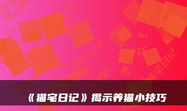 《猫宅日记》揭示养猫小技巧