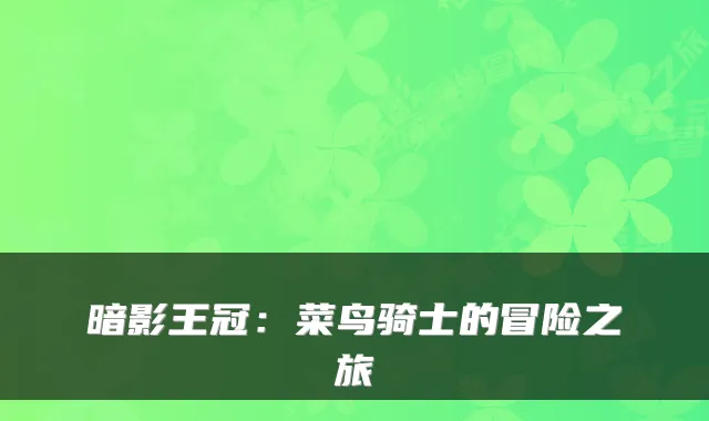 暗影王冠：菜鸟骑士的冒险之旅