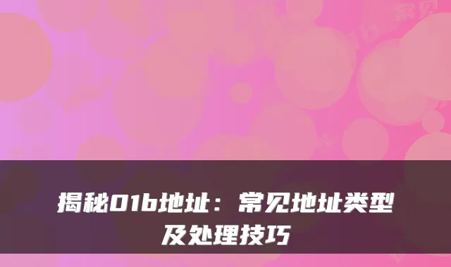 揭秘01b地址：常见地址类型及处理技巧