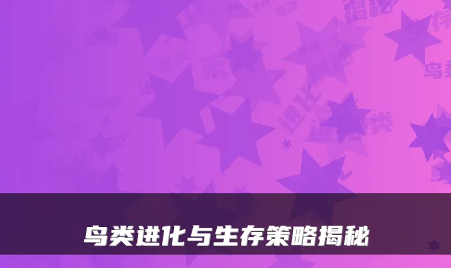 鸟类进化与生存策略揭秘