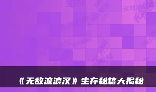 《无敌流浪汉》生存秘籍大揭秘