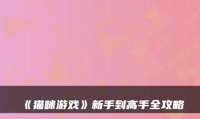 《猫咪游戏》新手到高手全攻略