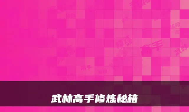 武林高手修炼秘籍