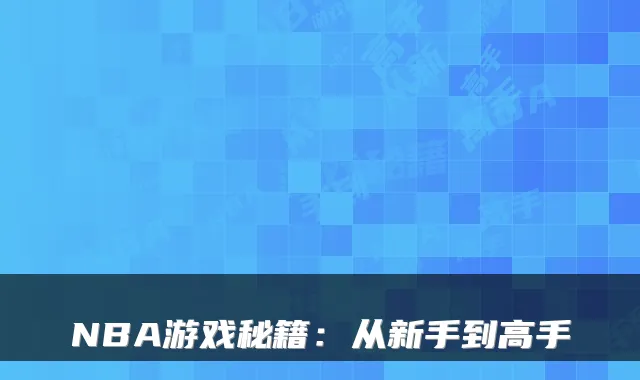 NBA游戏秘籍：从新手到高手