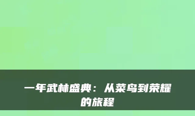 一年武林盛典：从菜鸟到荣耀的旅程