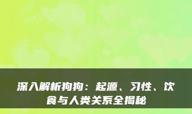 深入解析狗狗：起源、习性、饮食与人类关系全揭秘
