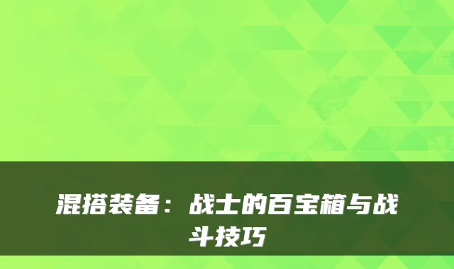 混搭装备：战士的百宝箱与战斗技巧
