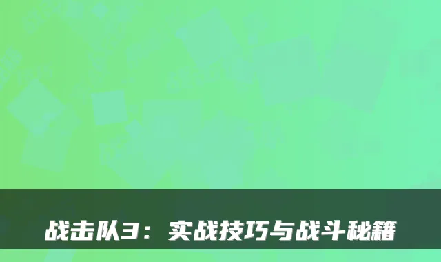 战击队3：实战技巧与战斗秘籍