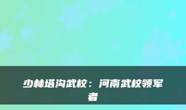 少林塔沟武校：河南武校领军者