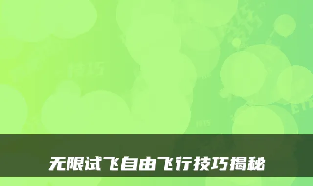 无限试飞自由飞行技巧揭秘