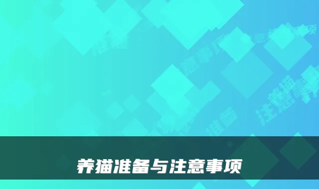 养猫准备与注意事项