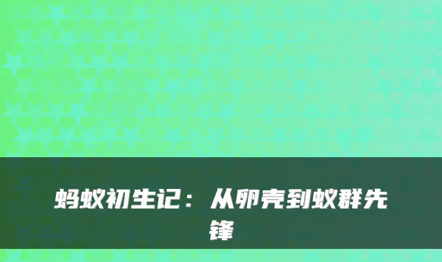 蚂蚁初生记：从卵壳到蚁群先锋