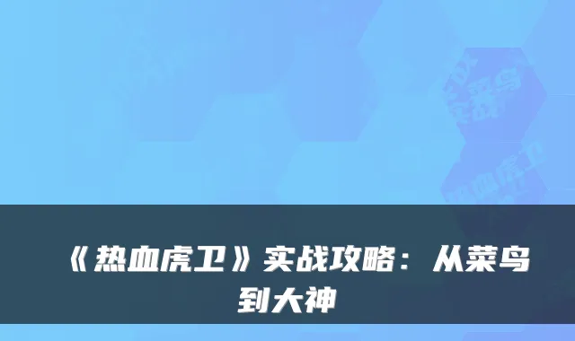 《热血虎卫》实战攻略：从菜鸟到大神
