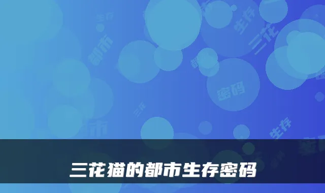 三花猫的都市生存密码