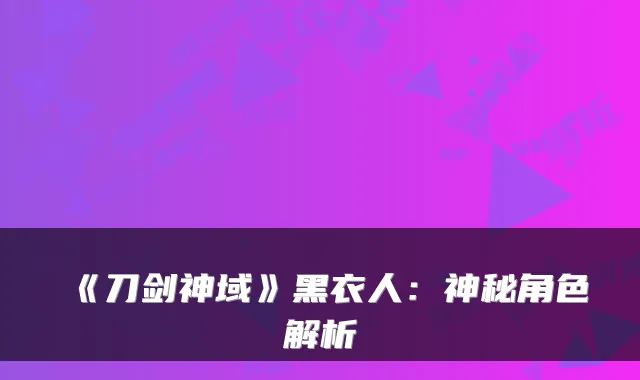 《刀剑神域》黑衣人：神秘角色解析