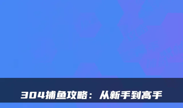 304捕鱼攻略:从新手到高手