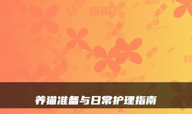 养猫准备与日常护理指南