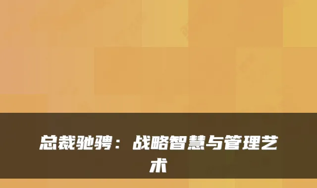 总裁驰骋：战略智慧与管理艺术
