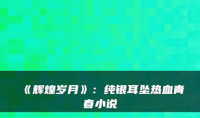 《辉煌岁月》:纯银耳坠热血青春小说