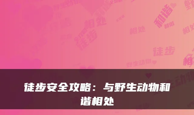 徒步安全攻略：与野生动物和谐相处