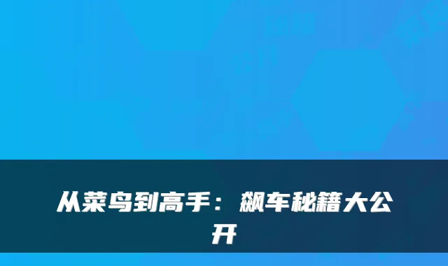 从菜鸟到高手:飙车秘籍大公开