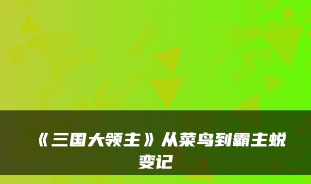 《三国大领主》从菜鸟到霸主蜕变记