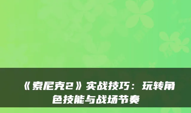 《索尼克2》实战技巧：玩转角色技能与战场节奏