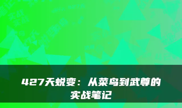 427天蜕变:从菜鸟到武尊的实战笔记