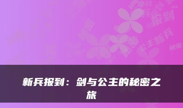 新兵报到：剑与公主的秘密之旅