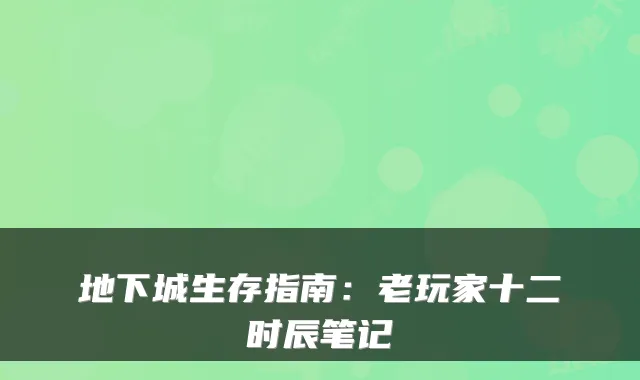 地下城生存指南：老玩家十二时辰笔记