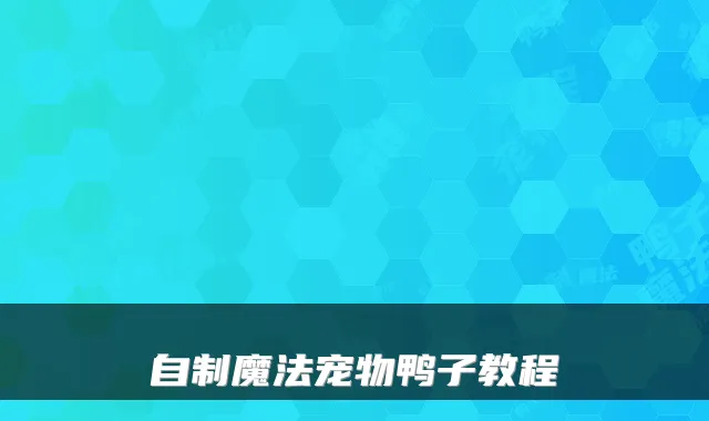 自制魔法宠物鸭子教程