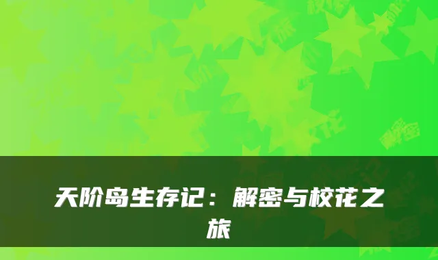 天阶岛生存记：解密与校花之旅