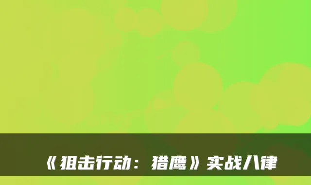 《狙击行动：猎鹰》实战八律