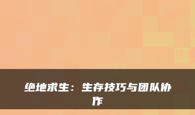 绝地求生：生存技巧与团队协作